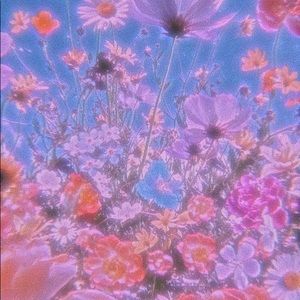 Meet your Posher, Asia